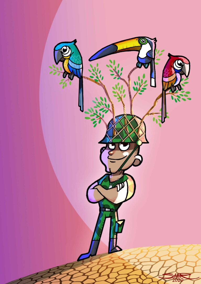 camouflage_-salar-eshratkhah-_-iran