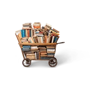 book-n2-mi-qnw4kmfxug26ayiobu7fuca41eafwewdcuz15q392w